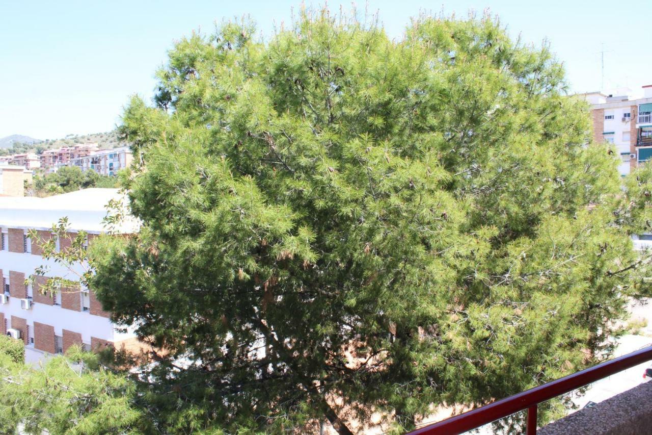 Apartamento Con Parking Gratuito Malaga Exterior photo